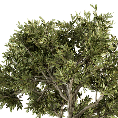 Garden set Tree and Bush - Garden Set 18 — Ver 4