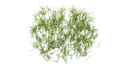 grass clumps 001 — Скачать