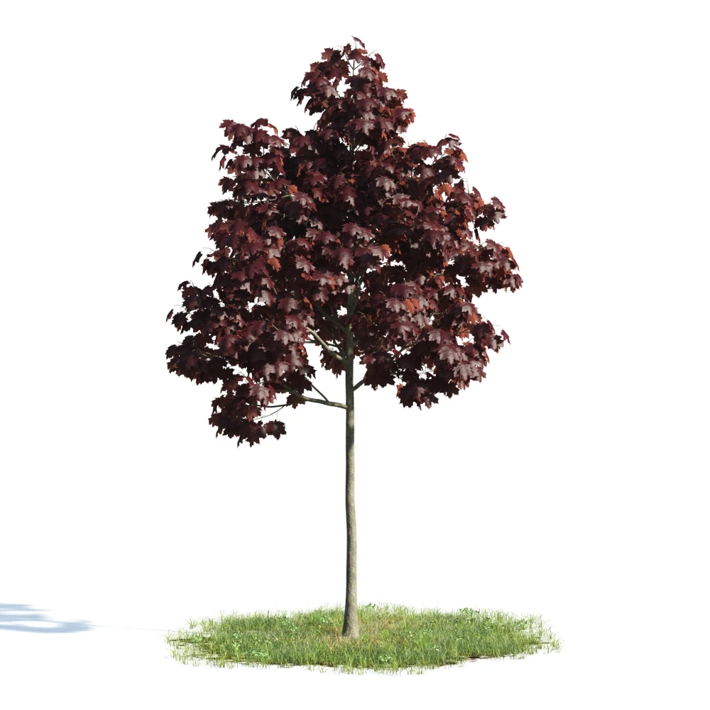 trees 022 — Скачать