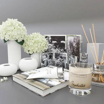 Decorative set with hydrangea — Ver 2