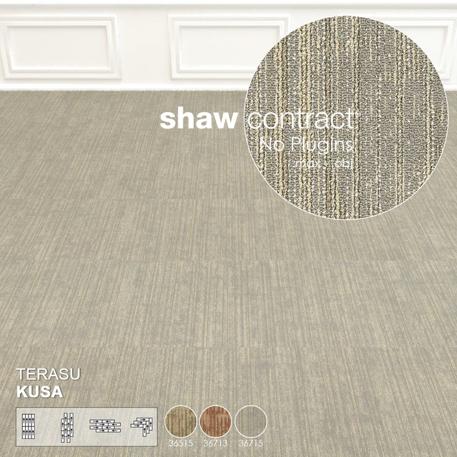 Shaw Carpet Terasu Kusa Wall to Wall Floor No 2 — Скачать