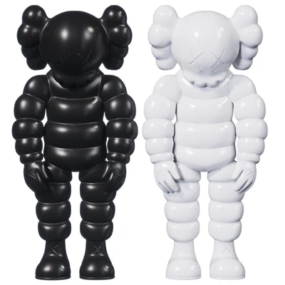 Kaws What Party — Вид 1
