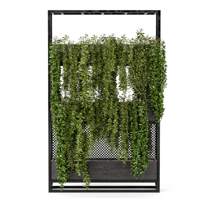 Indoor Hanging Plants in Metal Stand - Set 100 — Ver 3