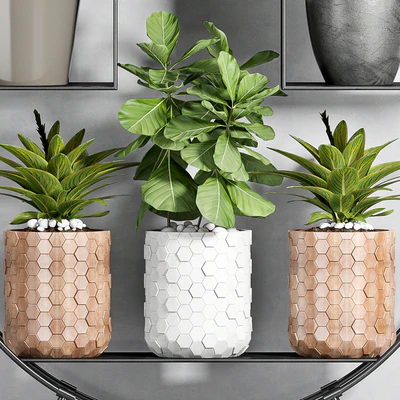 PLANT SET -87 — Вид 2