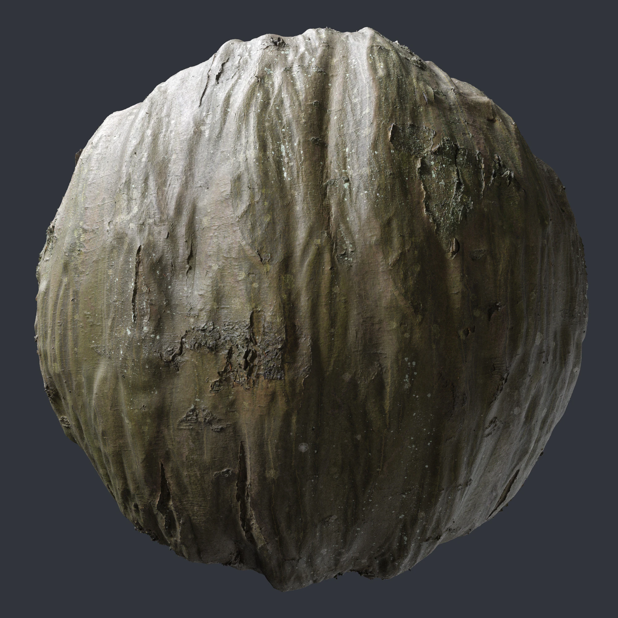 hornbeam bark — Скачать