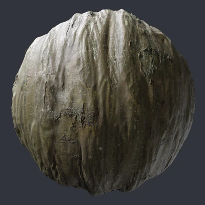 hornbeam bark — скачать