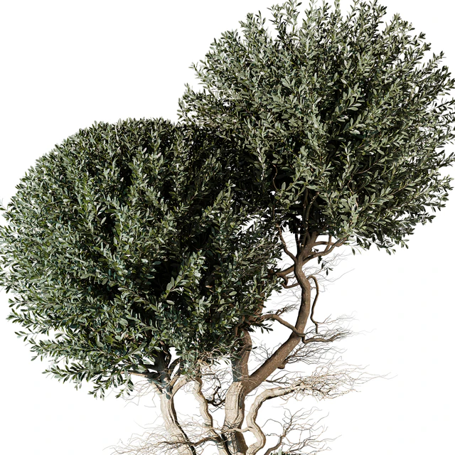 tree vol 17 — Descargar