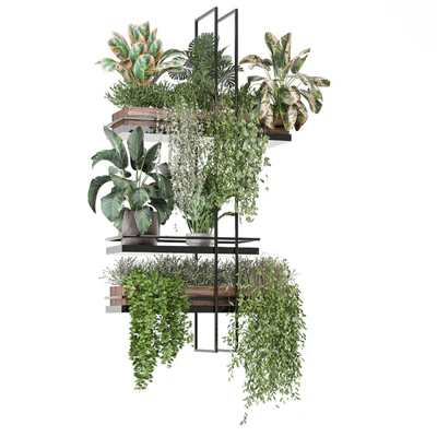 indoor plants in metal box 1580 — Ver 5