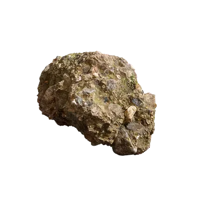 small forest stone 001 — Descargar