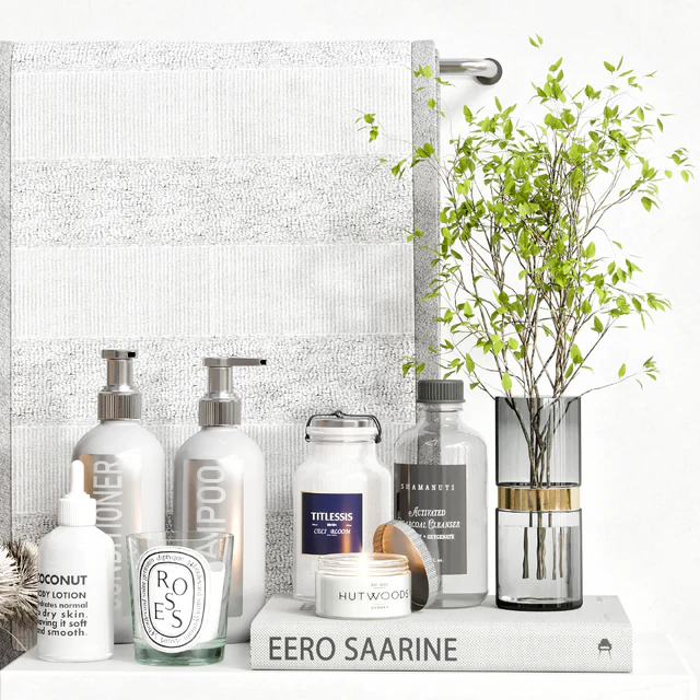 Bathroom Accessories 29 — Download