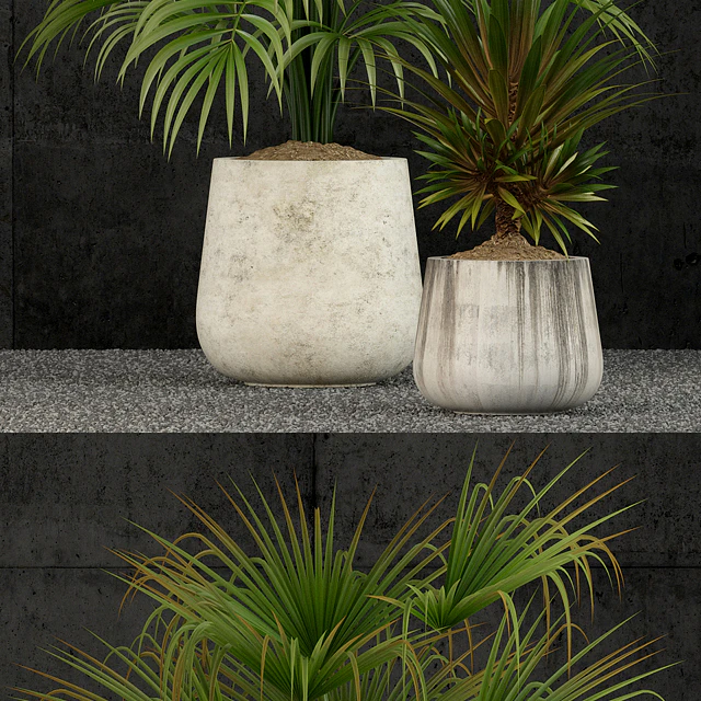 Plants collection 53 — Скачать