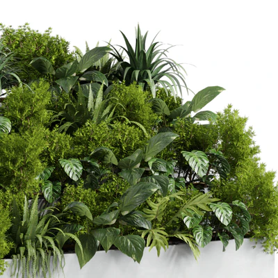 Collection outdoor indoor plant 54 stairs concrete vase pot fern bush grass ficus rubbery — Ver 5