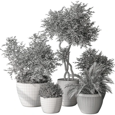 Outdoor Plant Set 393 - Plant Set in Concrete Pot — View 5