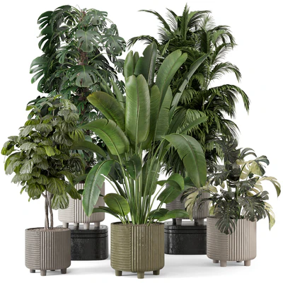 Indoor Planters in Cecilia Ficonstone Pot - Set 969 — Ver 1