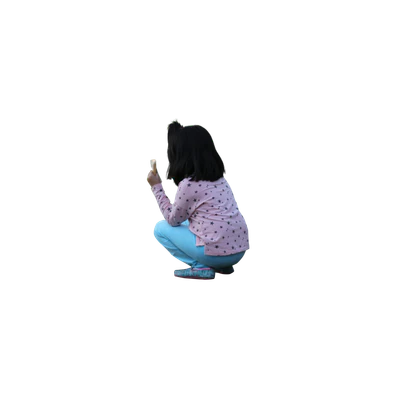 231 — Descargar