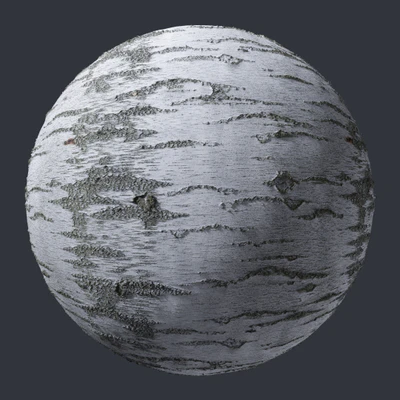 birch bark 003 — Descargar