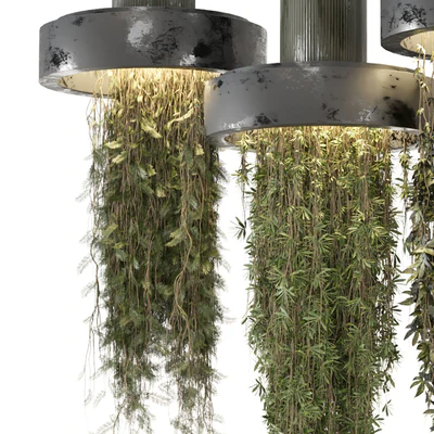 indoor Plants Collection set 12 hanging65 — Ver 3