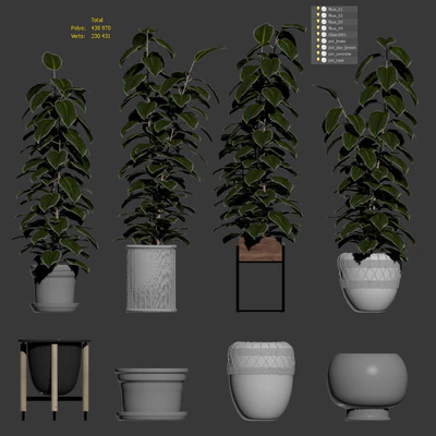 Ficuses in pots — Ver 4