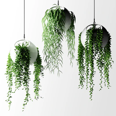 Hanging plants in flower pots | Hanged Plants in spherical hanging planters — Ver 2