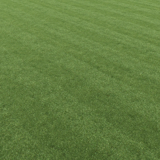 Lawn grass — Descargar