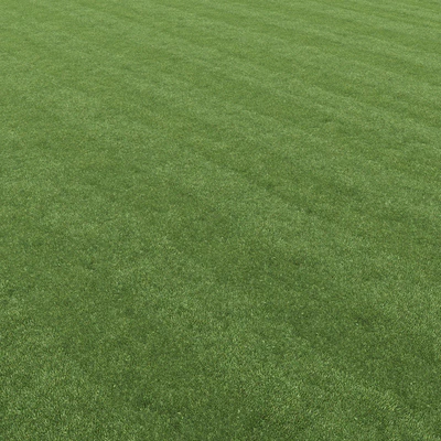 Lawn grass — Ver 4