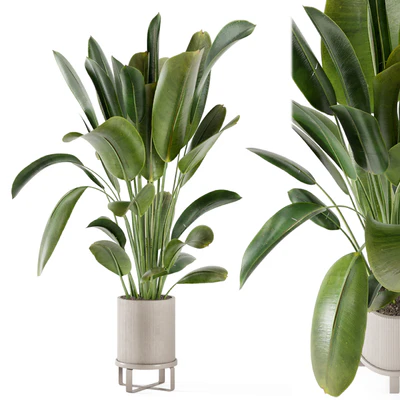 Indoor Plants in Ferm Living Bau Pot Large - Set 378 — Ver 1