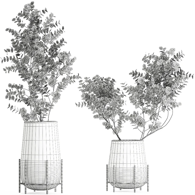 A collection of beautiful bouquets of branches with Eucalyptus leaves in a shelved vase. Set of 100. — Descargar