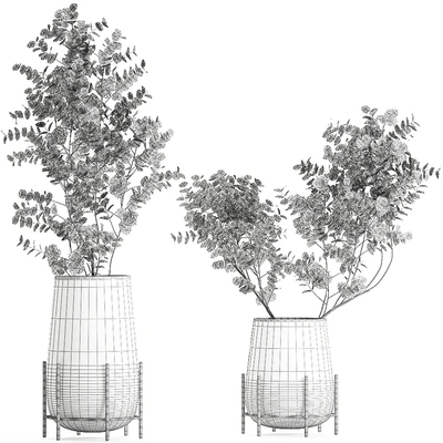 A collection of beautiful bouquets of branches with Eucalyptus leaves in a shelved vase. Set of 100. — Ver 4