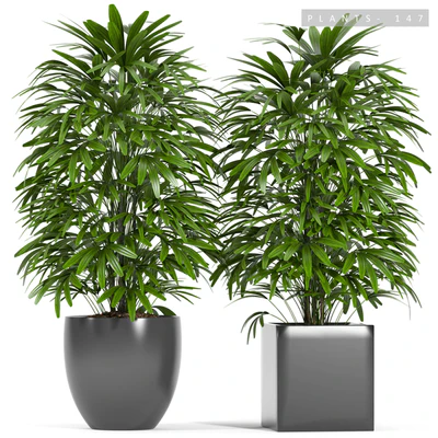PLANTS 147 — Descargar
