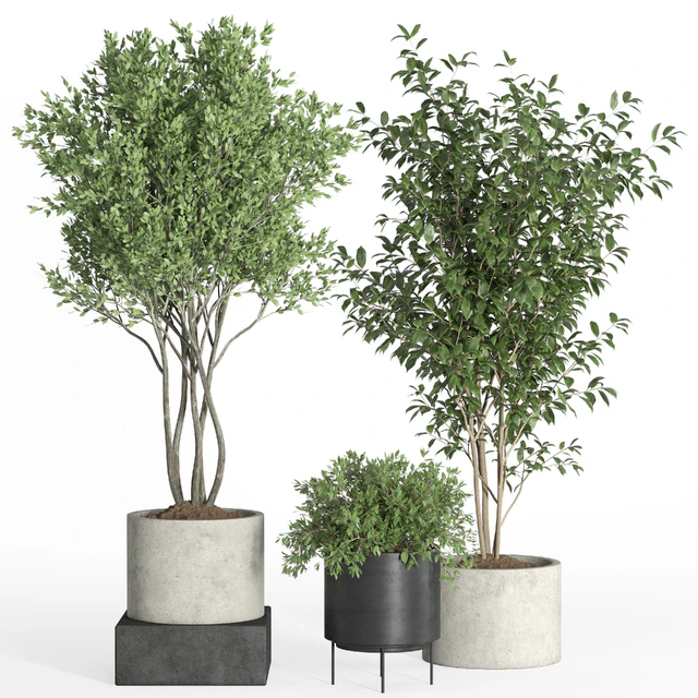 indoor plant set 35-concrete and metal pot — Скачать