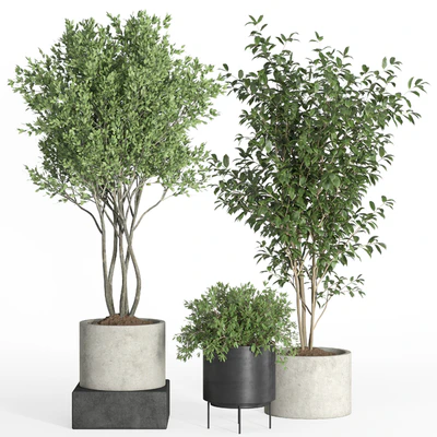 indoor plant set 35-concrete and metal pot — Вид 2