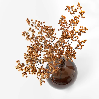 Dried flower branch in a large brown jar — Ver 4