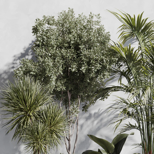 Indoor Plant Set 89 — Скачать