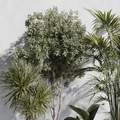 Indoor Plant Set 89 — Вид 4