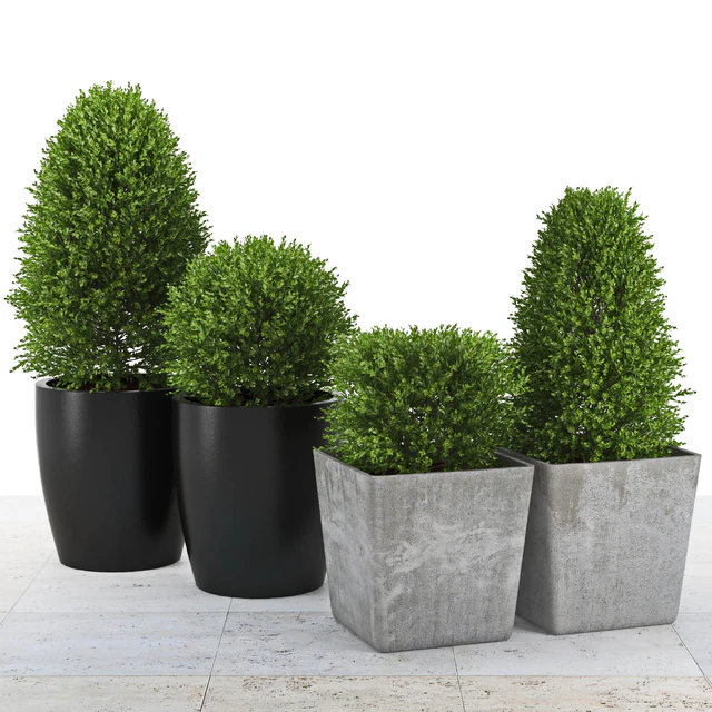 Collection of Plants 3 — Скачать