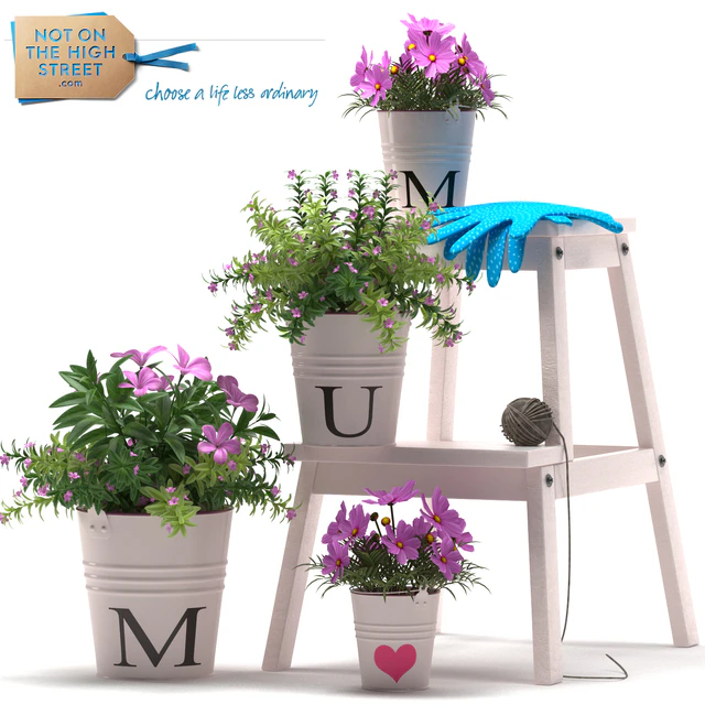 PLANTS 41 — Descargar