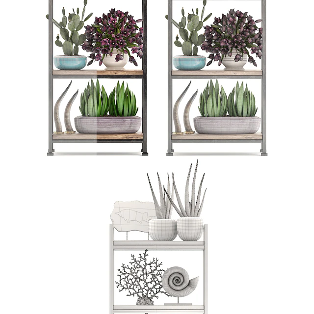 Decorative set. 7th. Shelf, decor, coral, tulips, shelf with flowers, horn — Descargar