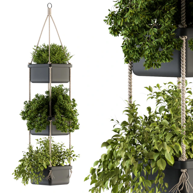 Hanging pot with Rope - indoor Plants 164 — Descargar