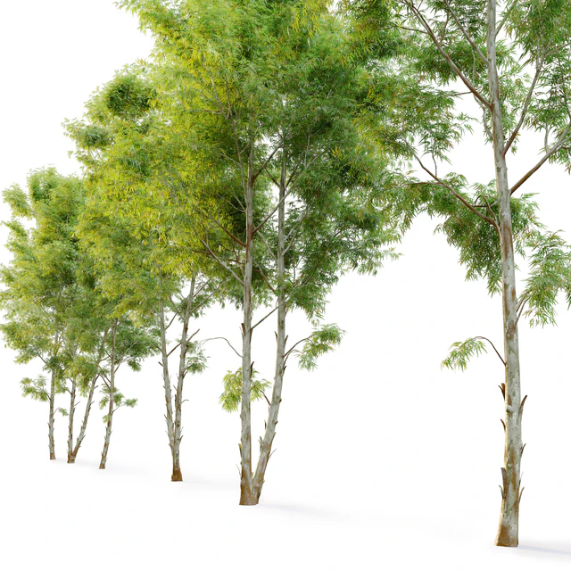 Eucalyptus 2 — Скачать