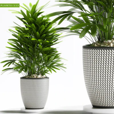 PLANTS 112 — Ver 1