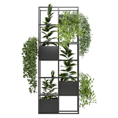 indoor plants in rusty concrete pot on metal shelf - Set 110 — Вид 5