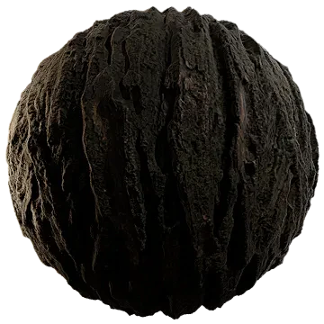 tree bark 005 — Descargar