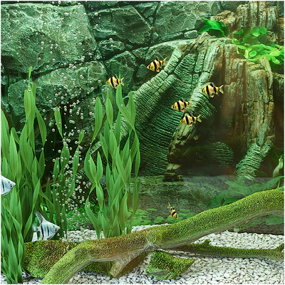 Аквариум — Вид 3