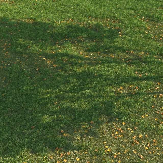 grass011 — Descargar