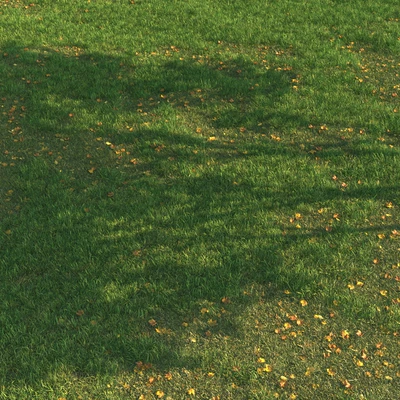 grass011 — Ver 6