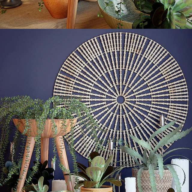 Plant decor set - 1 — Descargar