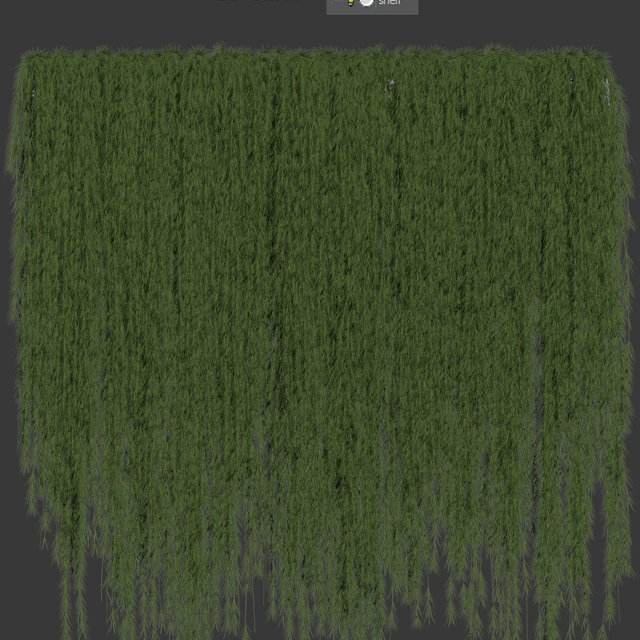 A wall of drooping plant branches — Descargar