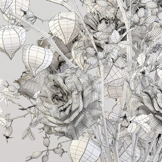 Bouquet with physalis — Descargar
