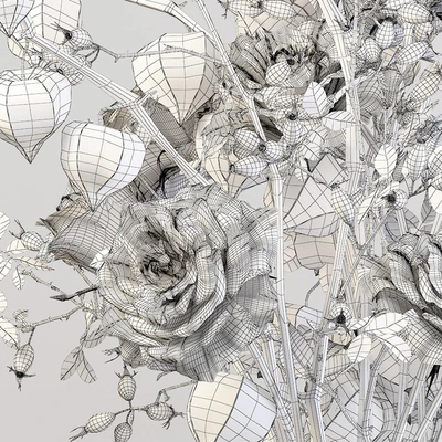 Bouquet with physalis — Ver 2
