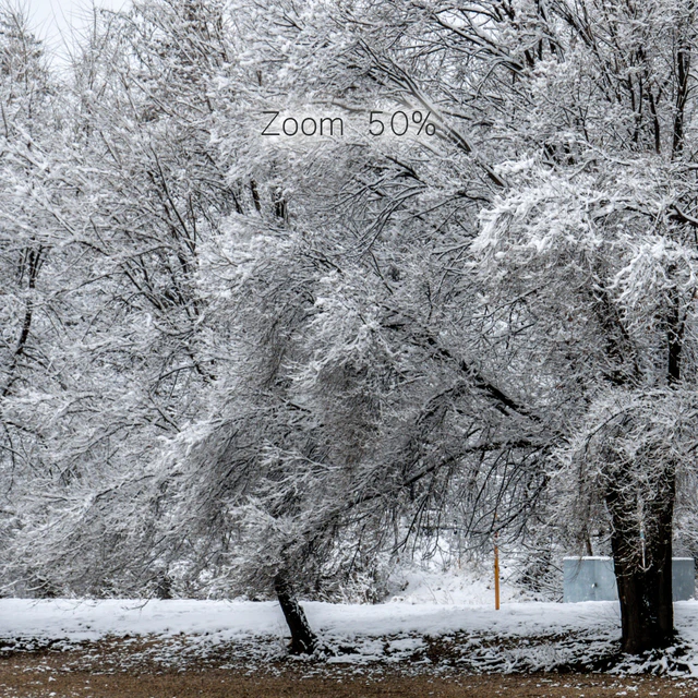 Panorama of the park with a lake and snow-covered trees. 46k — Descargar